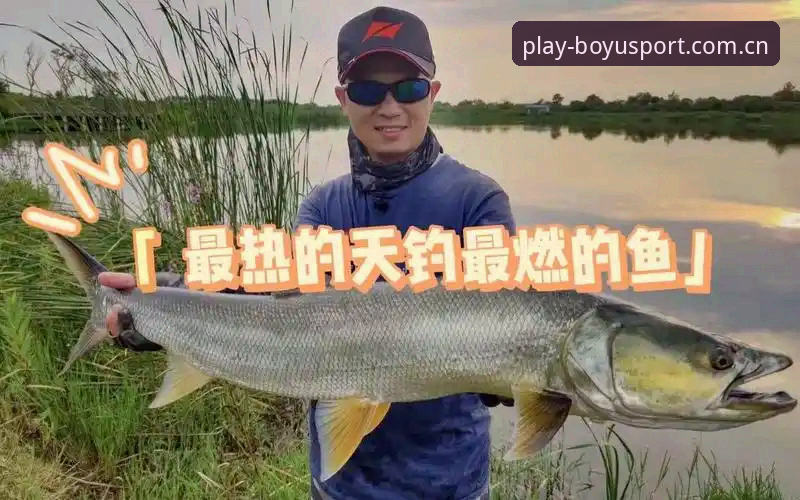 博鱼体育官方主页2026新版深度评测——从登录失败到流畅体验，这次更新值不值得升？